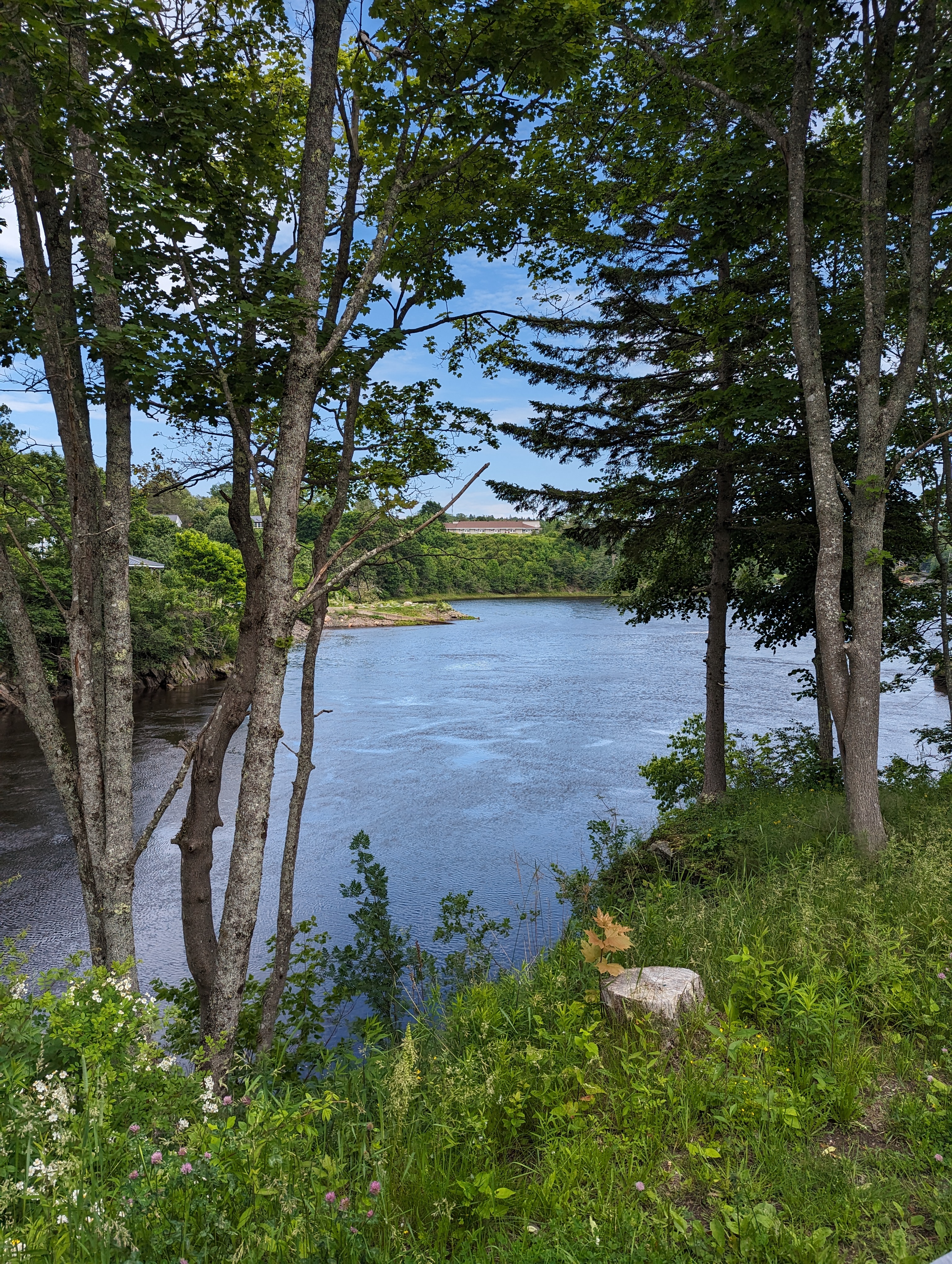 Scenic view with a lake in New Brunswick